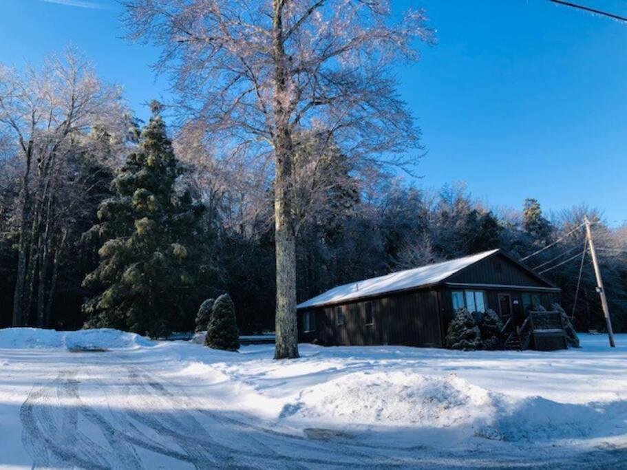 Catskills Cottage With Lake View Book Now Rock Hill Ngoại thất bức ảnh